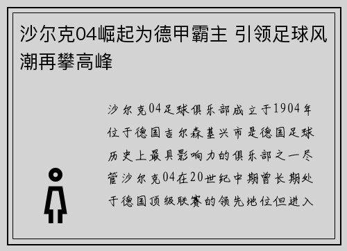 沙尔克04崛起为德甲霸主 引领足球风潮再攀高峰
